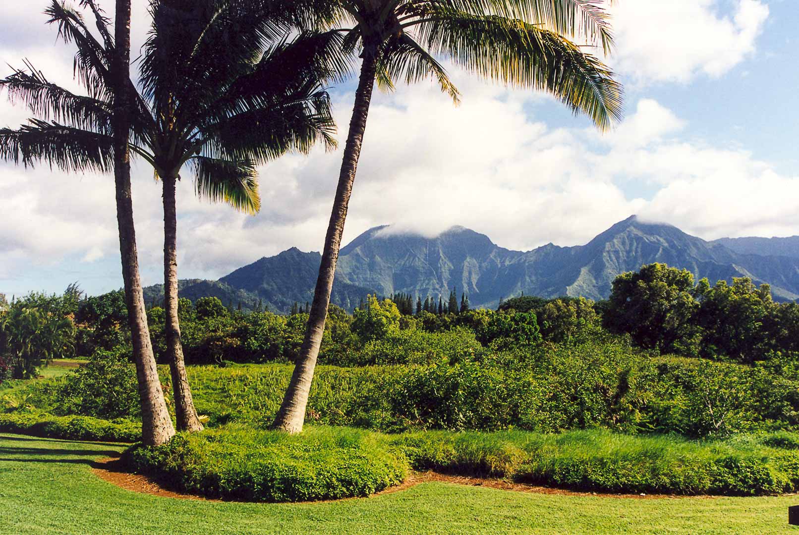 The beautiful view from VRI's Alii Kai Resort in Hawaii